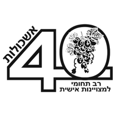 תמונה של בתי ספר - ראשון לציון